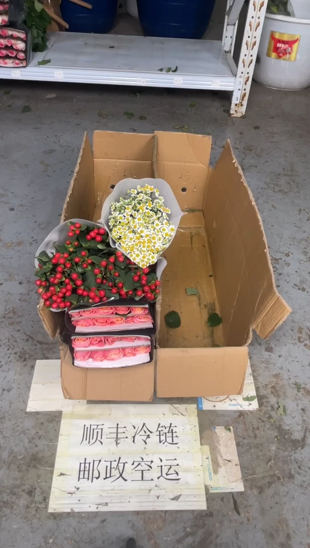 朱小姐20枝+红豆+洋甘菊