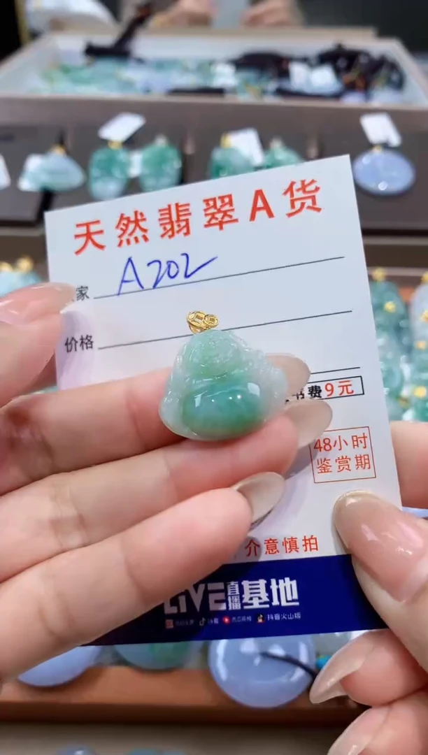 颈饰未镶嵌翡翠天然缅甸翡翠A货挂件