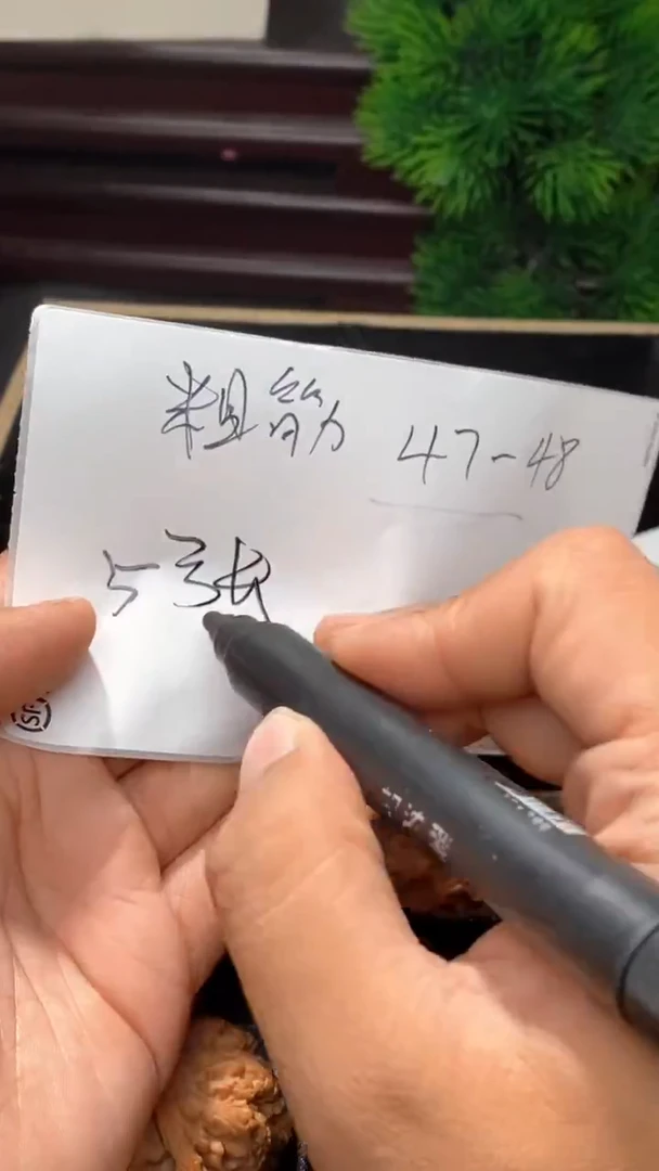 把件文玩核桃璐粗筋47-48⬛️