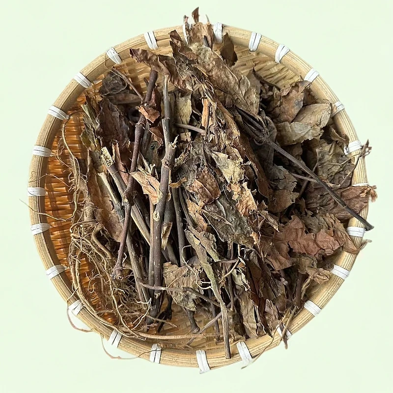 消/火/大/王野生菌【寻味滋补】精选好物中药