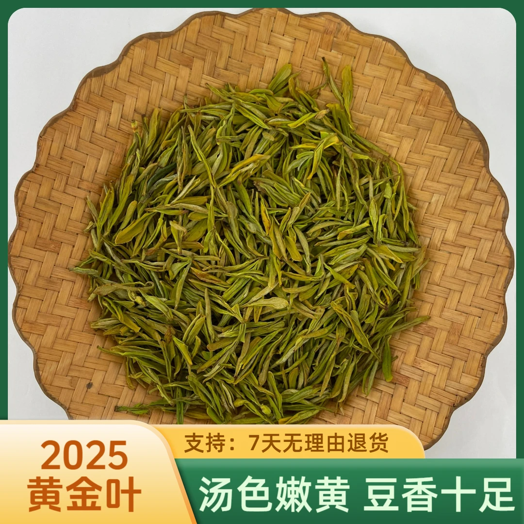古尖香舒城小兰花（2025年新茶浓香型黄金叶488）绿茶正宗产地