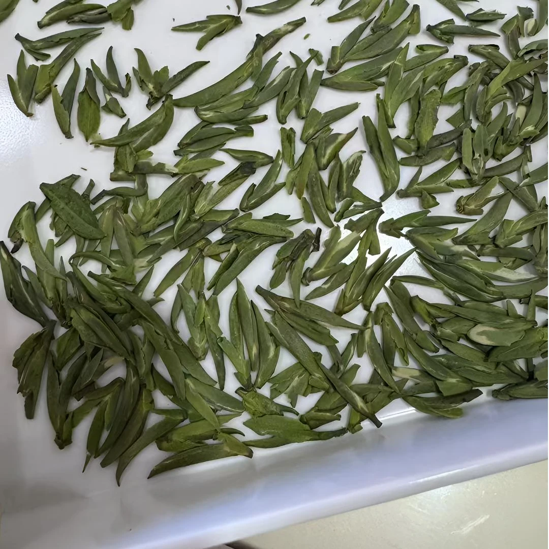 阿辉甄选2025高山雀舌