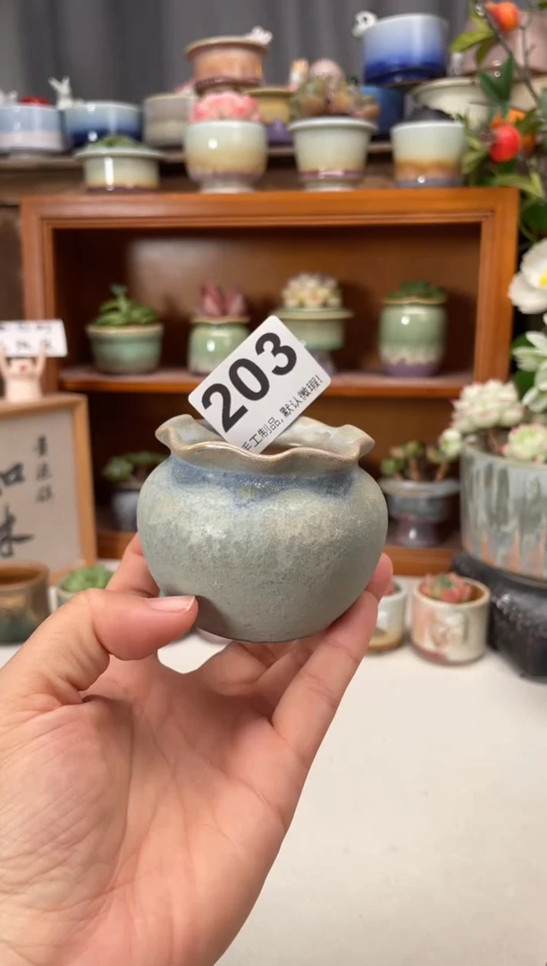 瓷片203知木小芳花盆直播编号