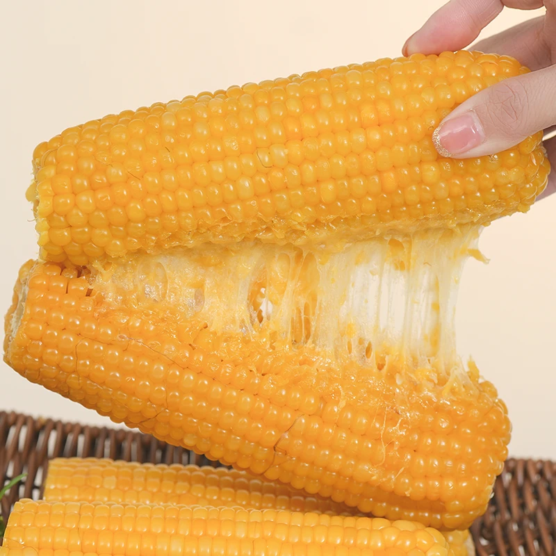 【鑫禾玉米】东北黄糯玉米真空独立包装每支小棒（15-16cm）2000g Q