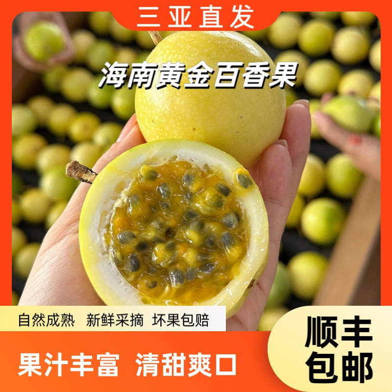 【吃海芒芒】海南钦蜜9号黄金百香果海南水果应季新鲜采摘顺丰包邮