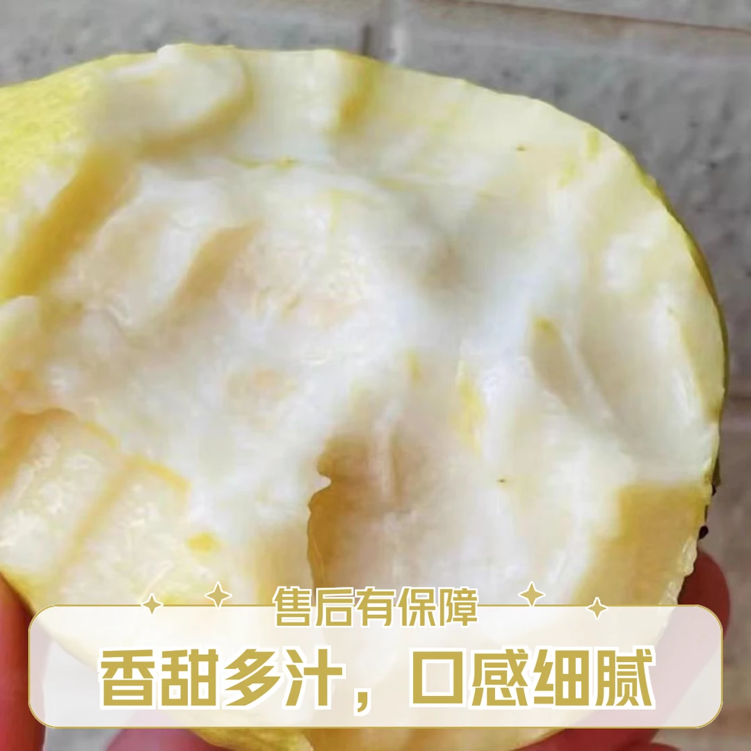 广西秋冬水果新鲜现摘软芭乐白心冰淇淋奶油番石榴老树果