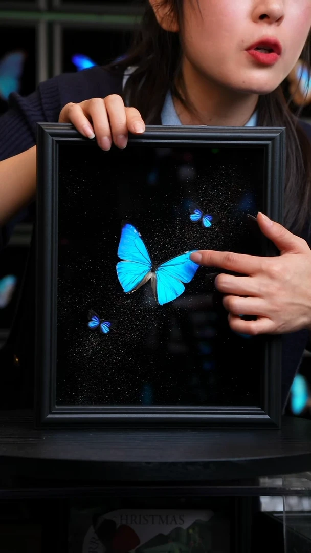 西风闪蝶银河款I150