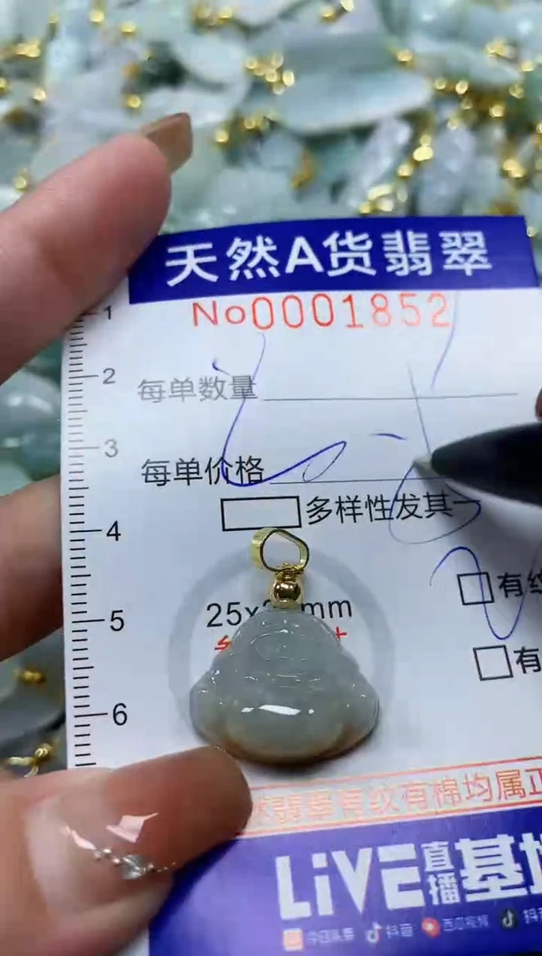 颈饰未镶嵌翡翠天然A货翡翠