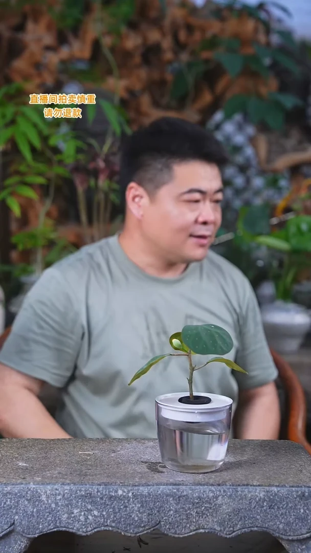 完全开放小盼菩提