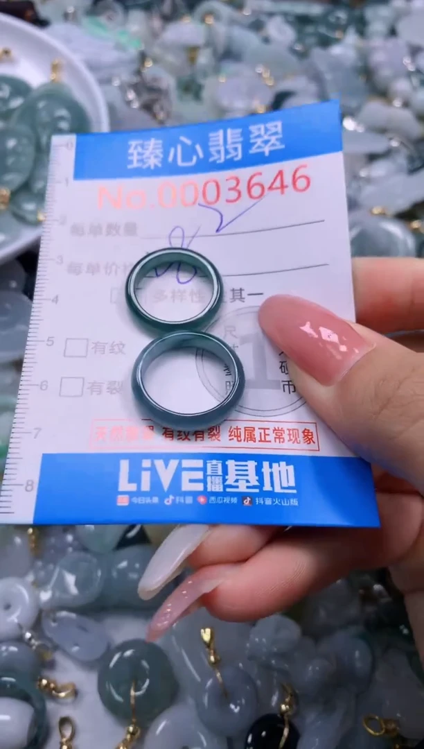 翡翠未镶嵌颈饰3646