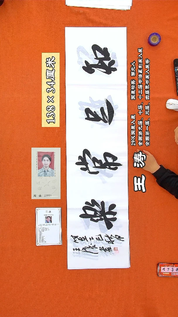 书法210王涛书法作品