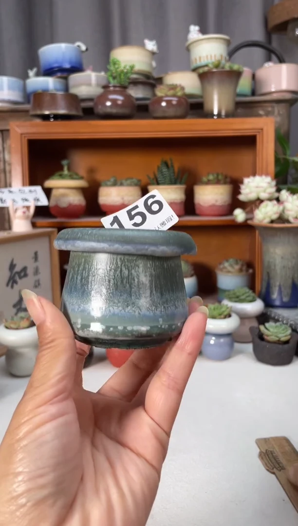 瓷片156小芳直播编号