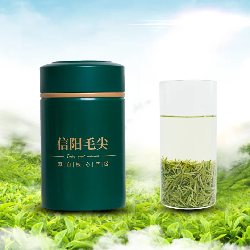 【25新茶信阳一号】正宗信阳毛尖特级明前花香味十足回甘甜新茶叶