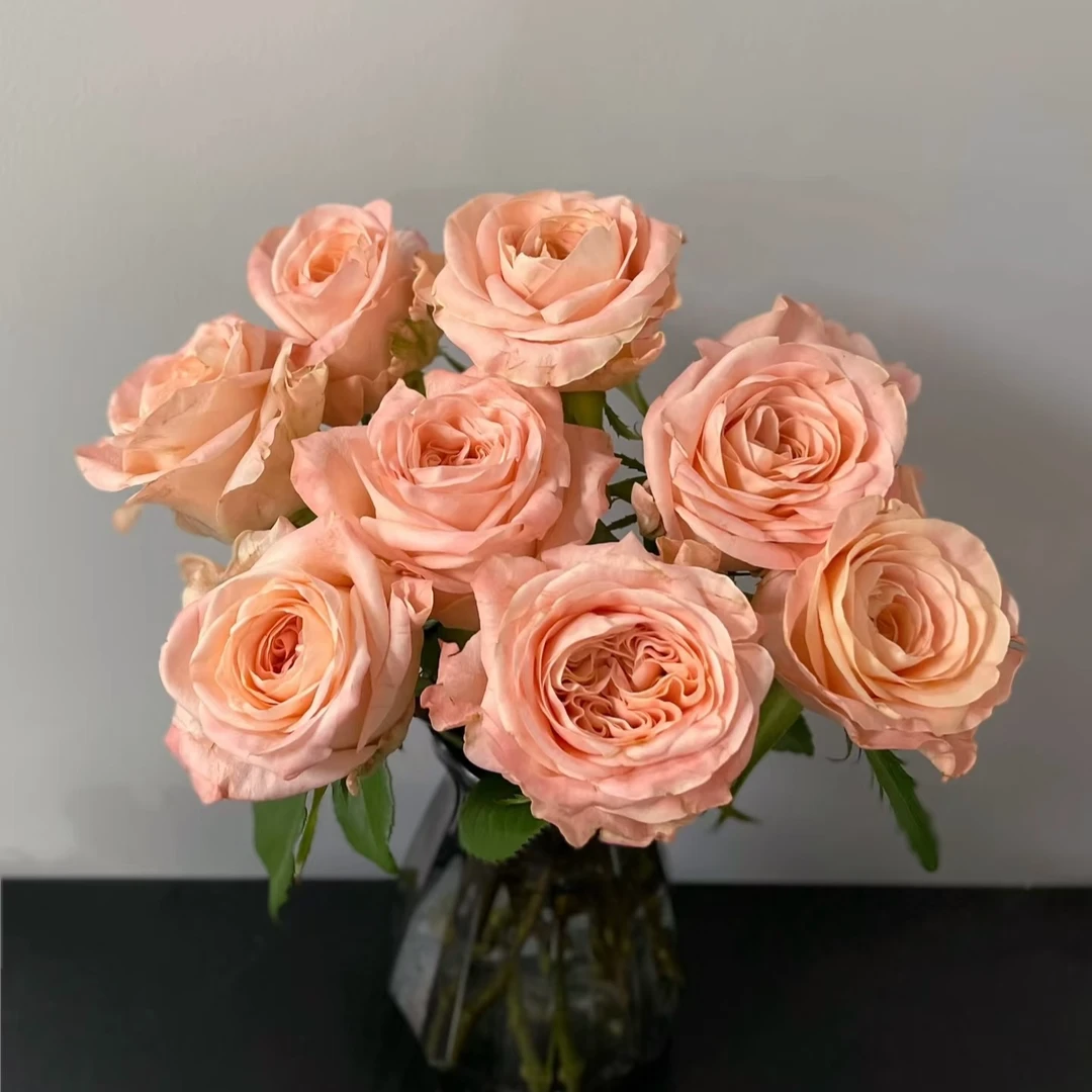 女娲单头玫瑰 【一单鲜花发普通快递 两单鲜花升级顺丰冷链发货】