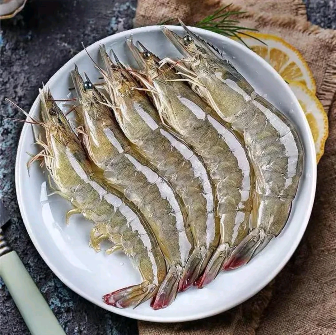 -’2030规格 特大号海虾 14-17cm左右 55只左右 4斤/盒 盐冻