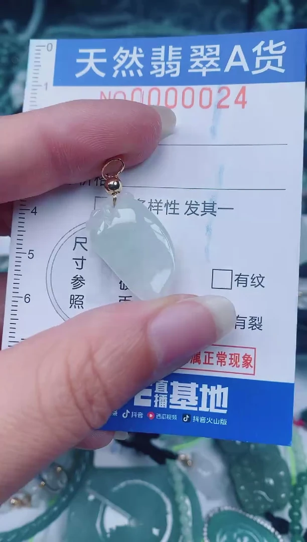 颈饰未镶嵌翡翠00000024