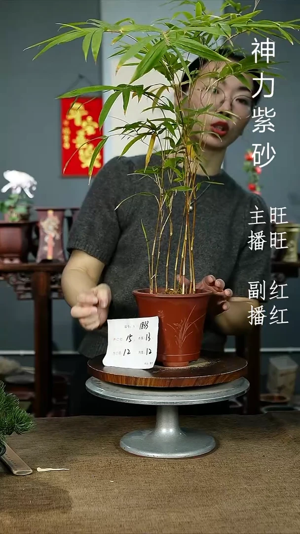 紫砂花盆1833+紫砂花盆紫砂