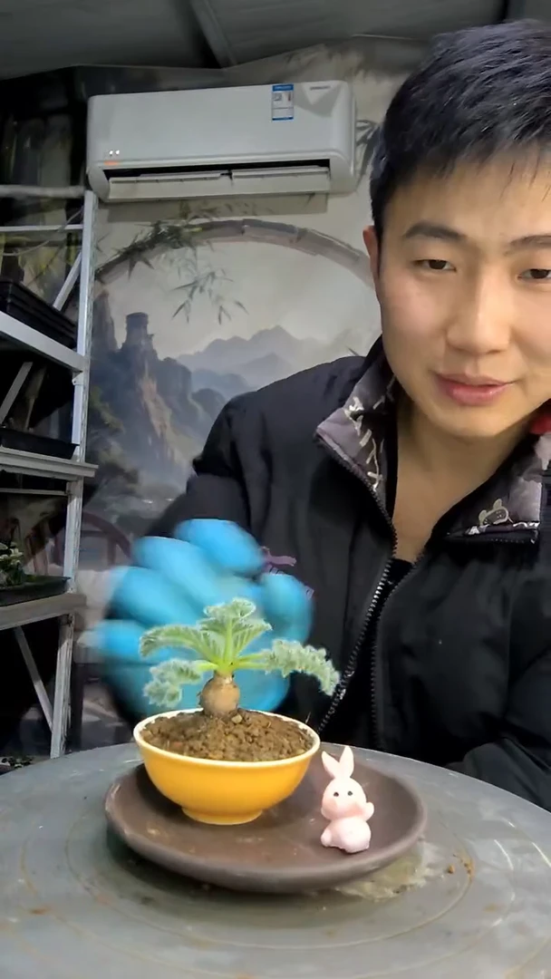 骑*中青园艺一物一拍花426