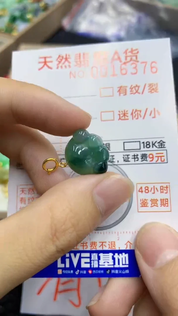 翡翠未镶嵌颈饰             8