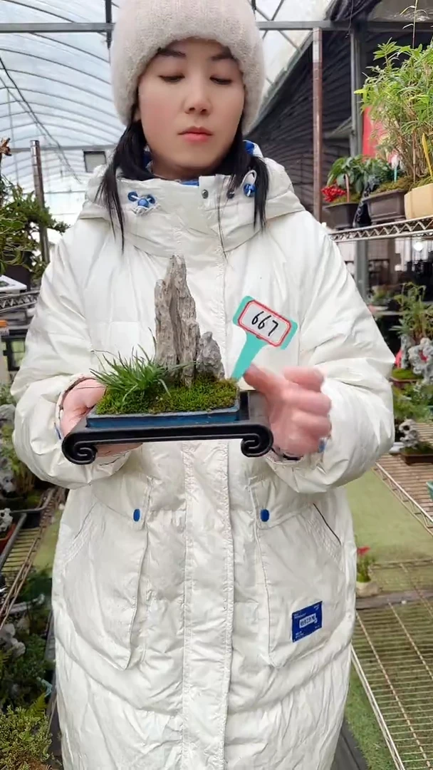 【闪购商品】667