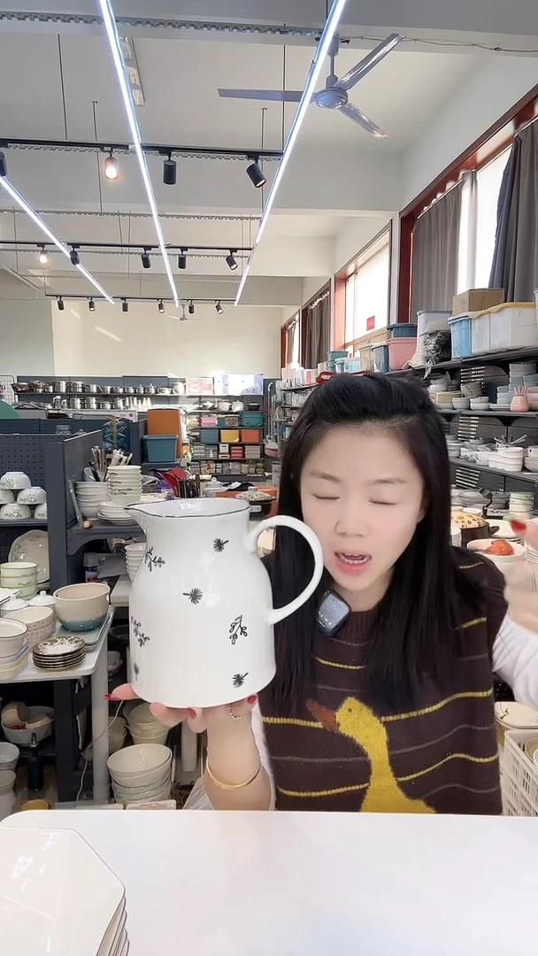 【闪购商品】新骨瓷高端水壶1支