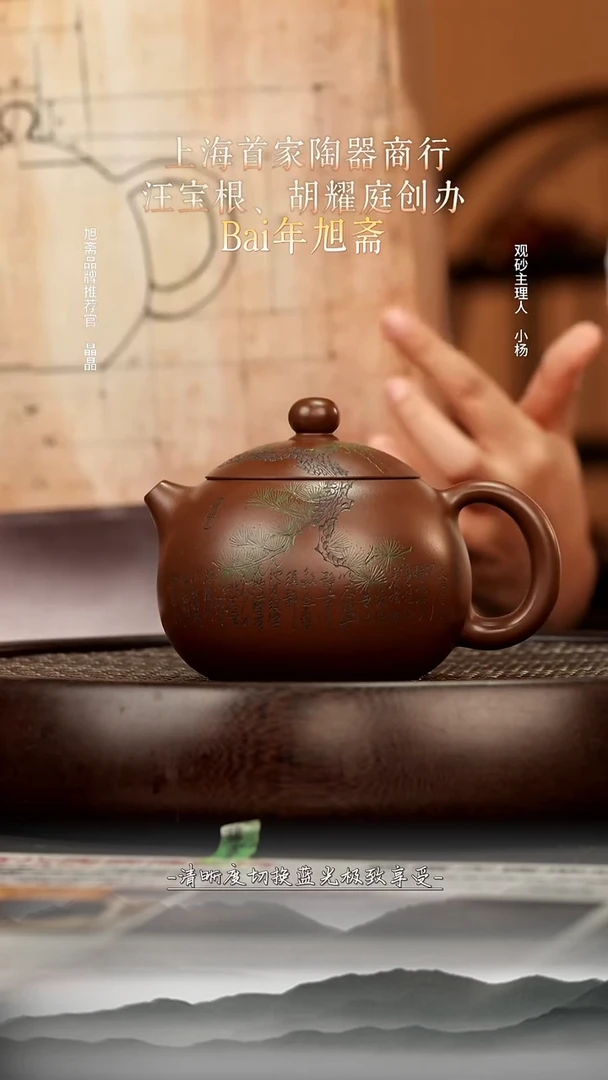 茶壶紫砂51 邵家紫泥西施240c