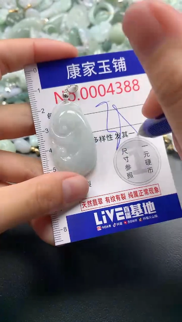 颈饰未镶嵌翡翠4388