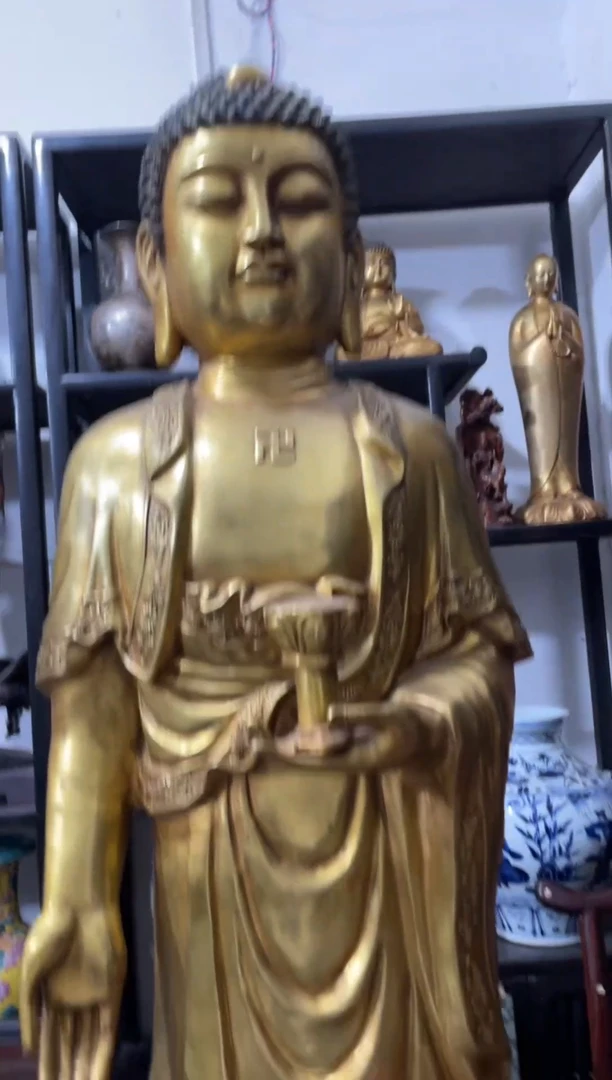 瓷片主播推荐精选好物