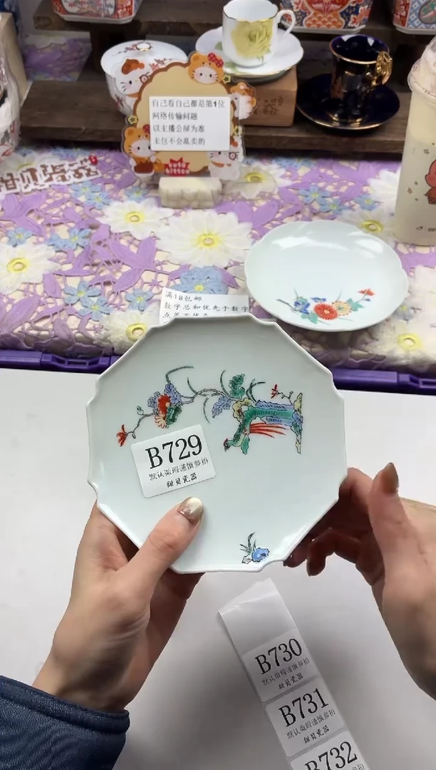 瓷片.*                B729
