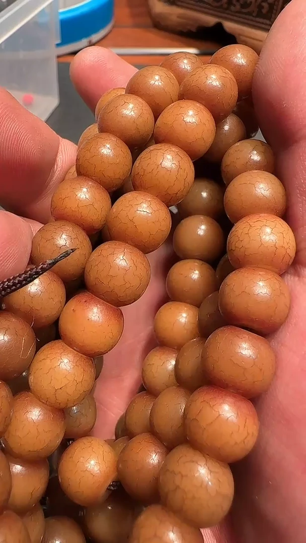王*北菩提根念珠