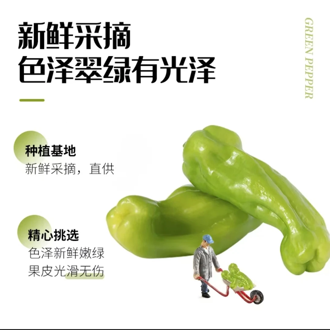 大青椒  泡椒 大海椒辣椒  500g