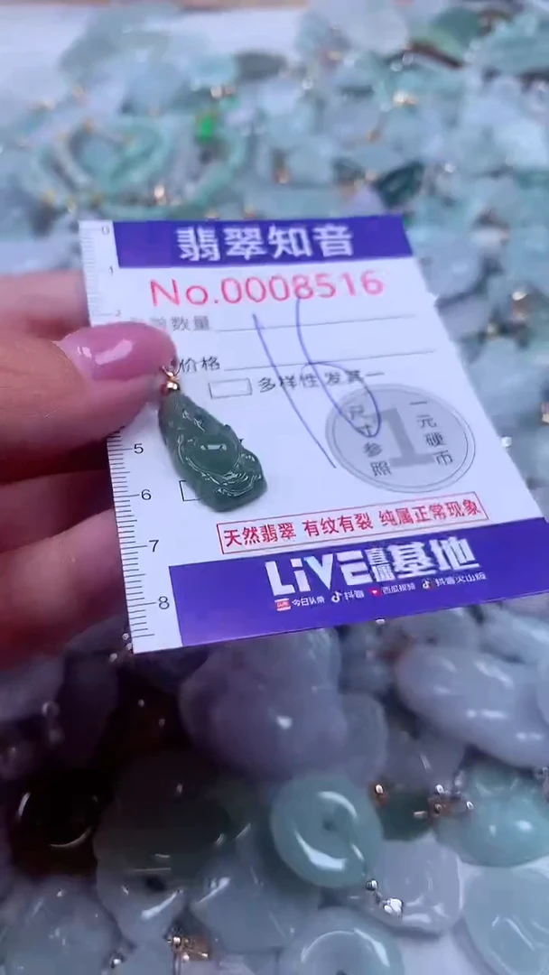 颈饰未镶嵌翡翠8516