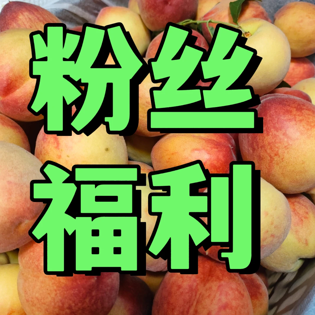【秒杀福利】溆浦露天黄桃-发中通快递