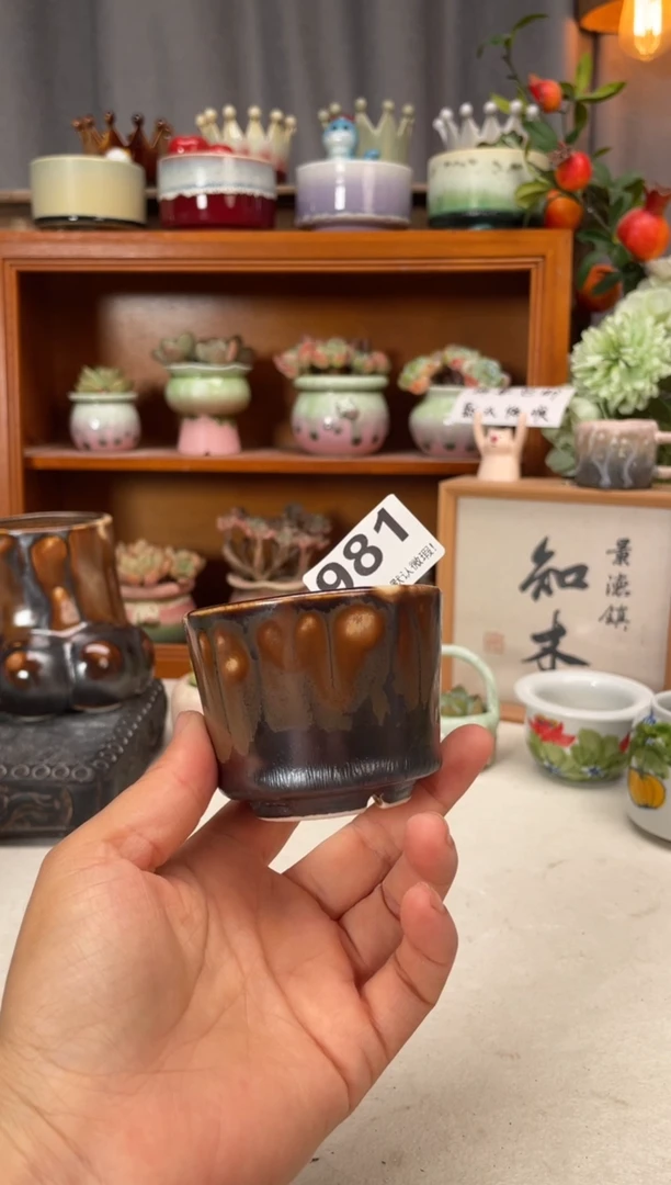 瓷片981知木小芳花盆直播编号