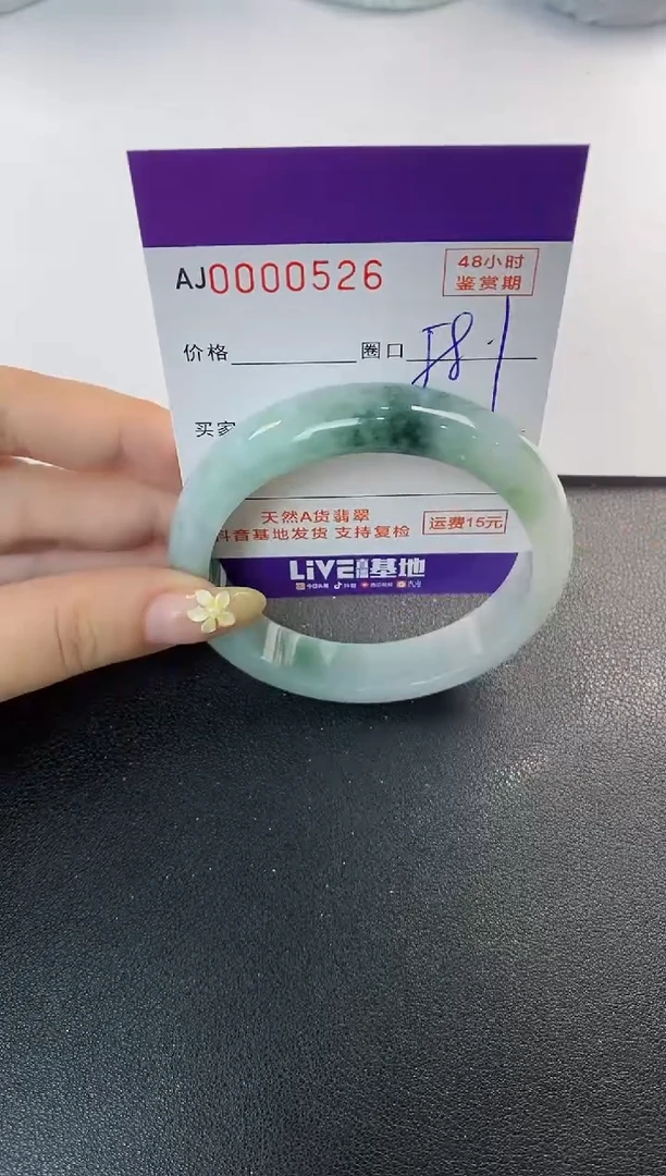 未镶嵌手镯翡翠天然A货翡翠