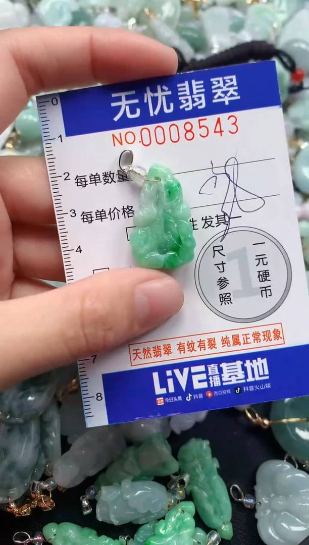 颈饰未镶嵌翡翠8543