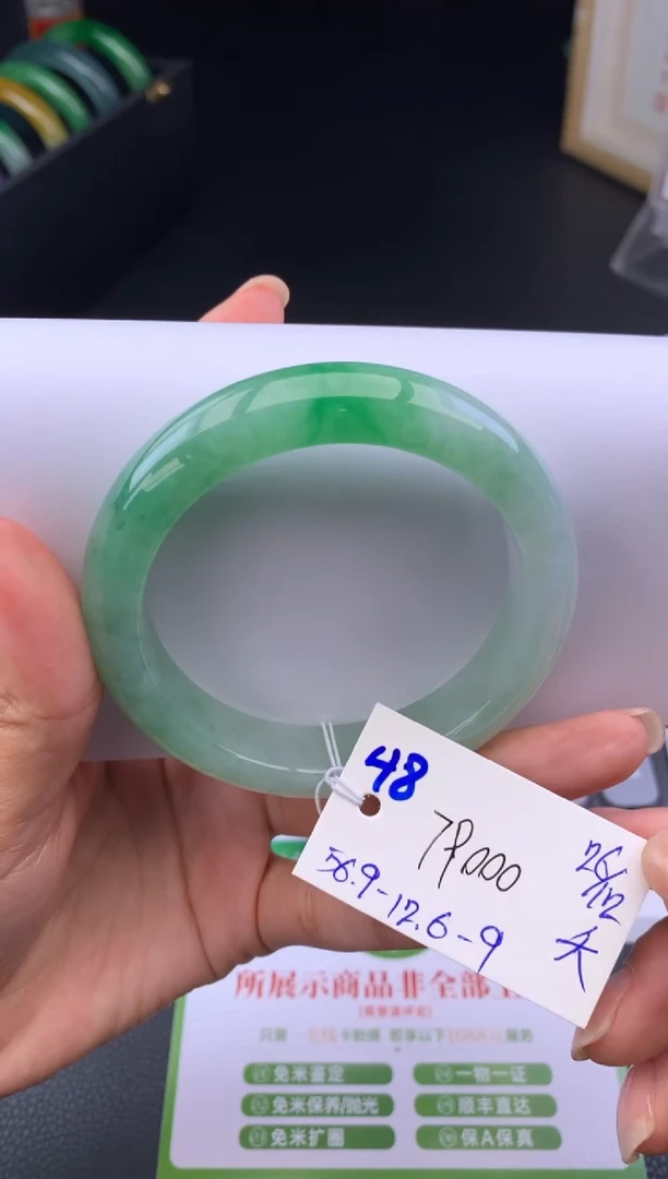 未镶嵌手镯翡翠假一赔三   手镯