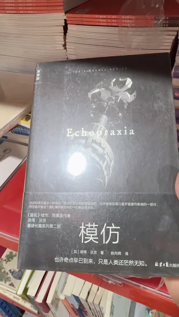 模仿 正版现货【微瑕】