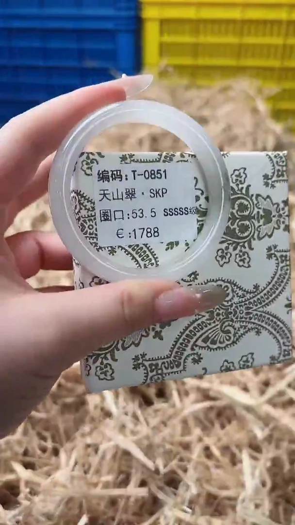 未镶嵌手镯石英质玉T-0851