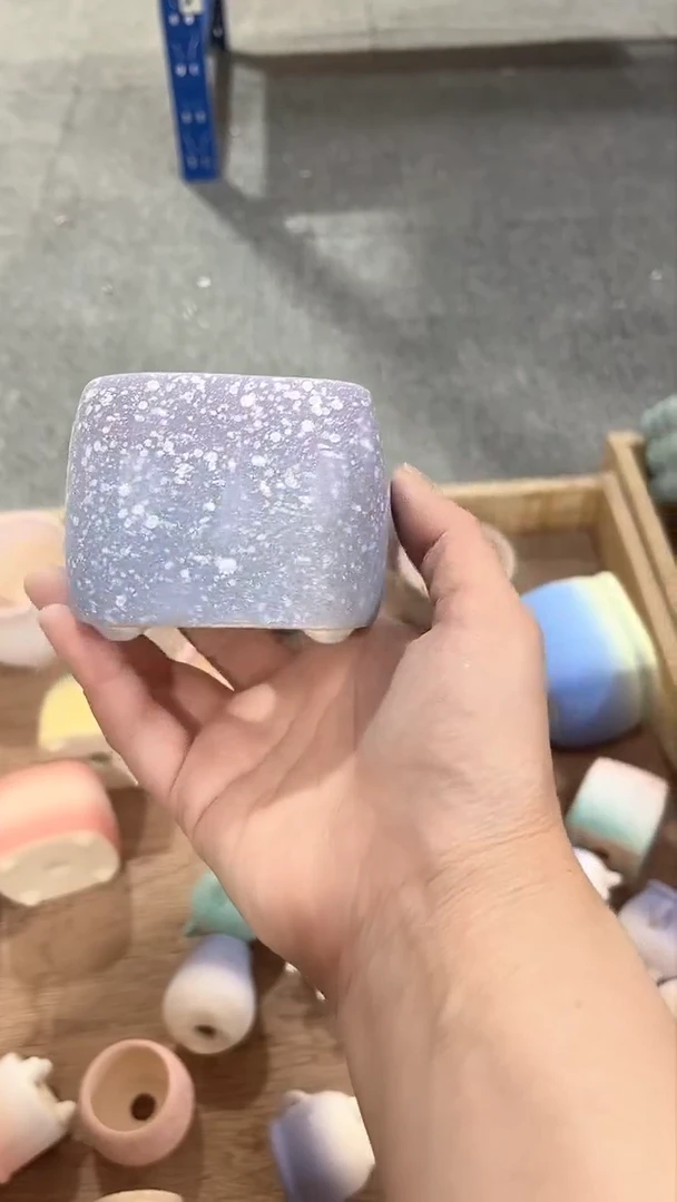 【闪购商品】红陶6*6