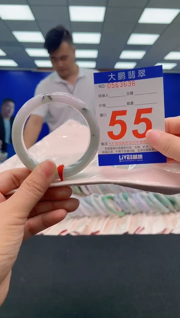 未镶嵌手镯翡翠AAAAAAAAA