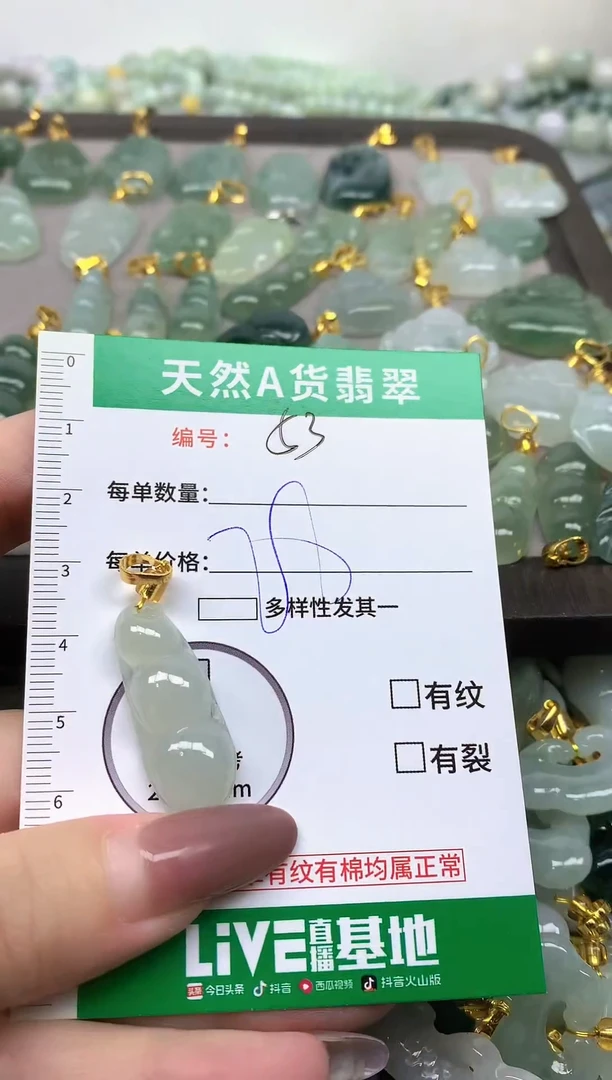 颈饰未镶嵌翡翠纯天然缅甸A货翡翠-53