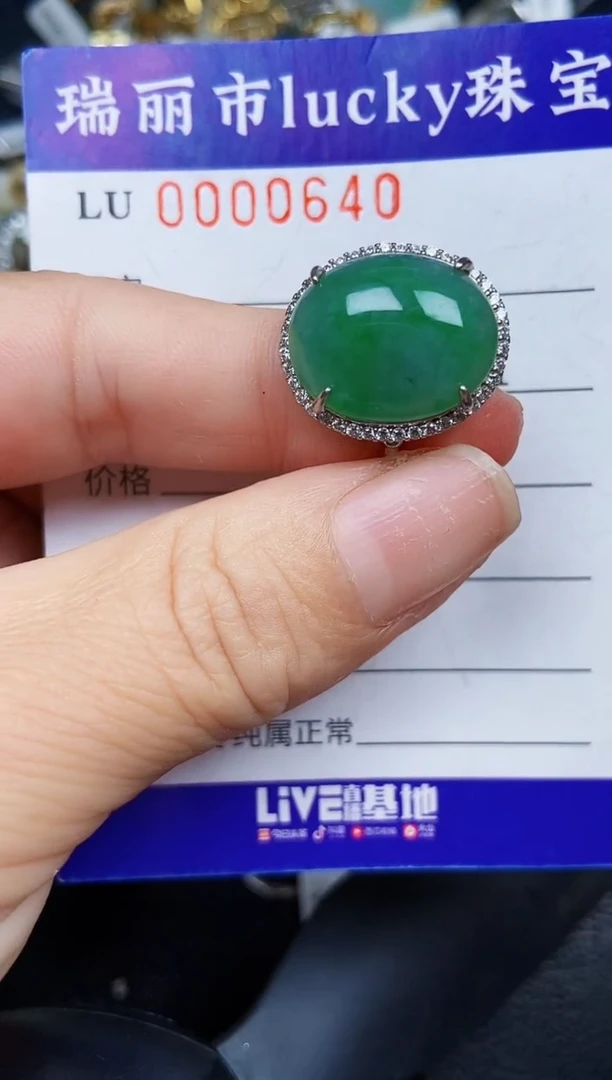 翡翠银S925镶嵌颈饰0640