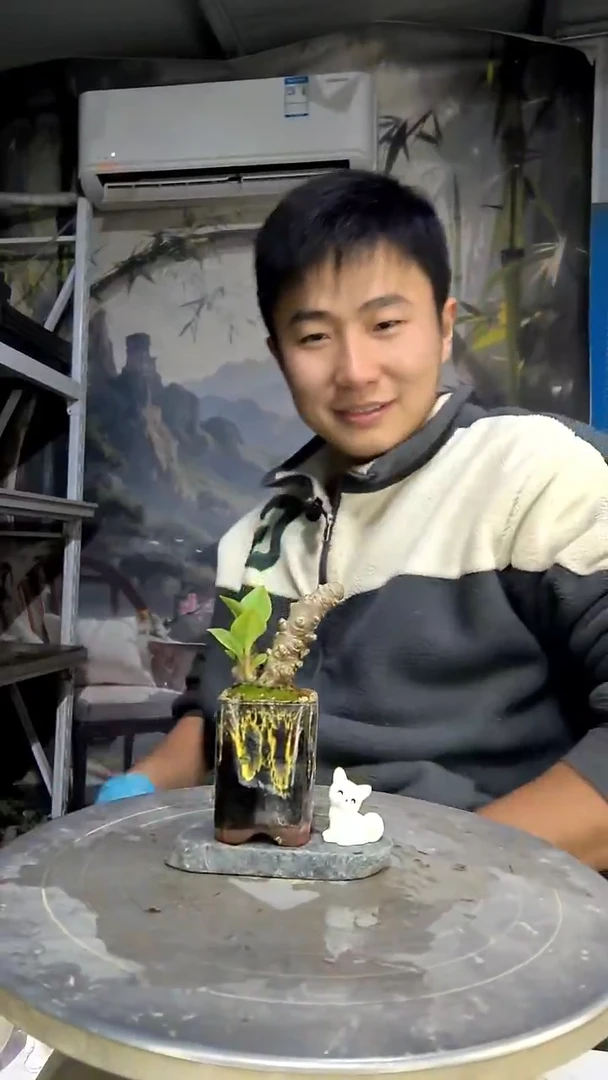 多**家中青园艺一物一拍花203
