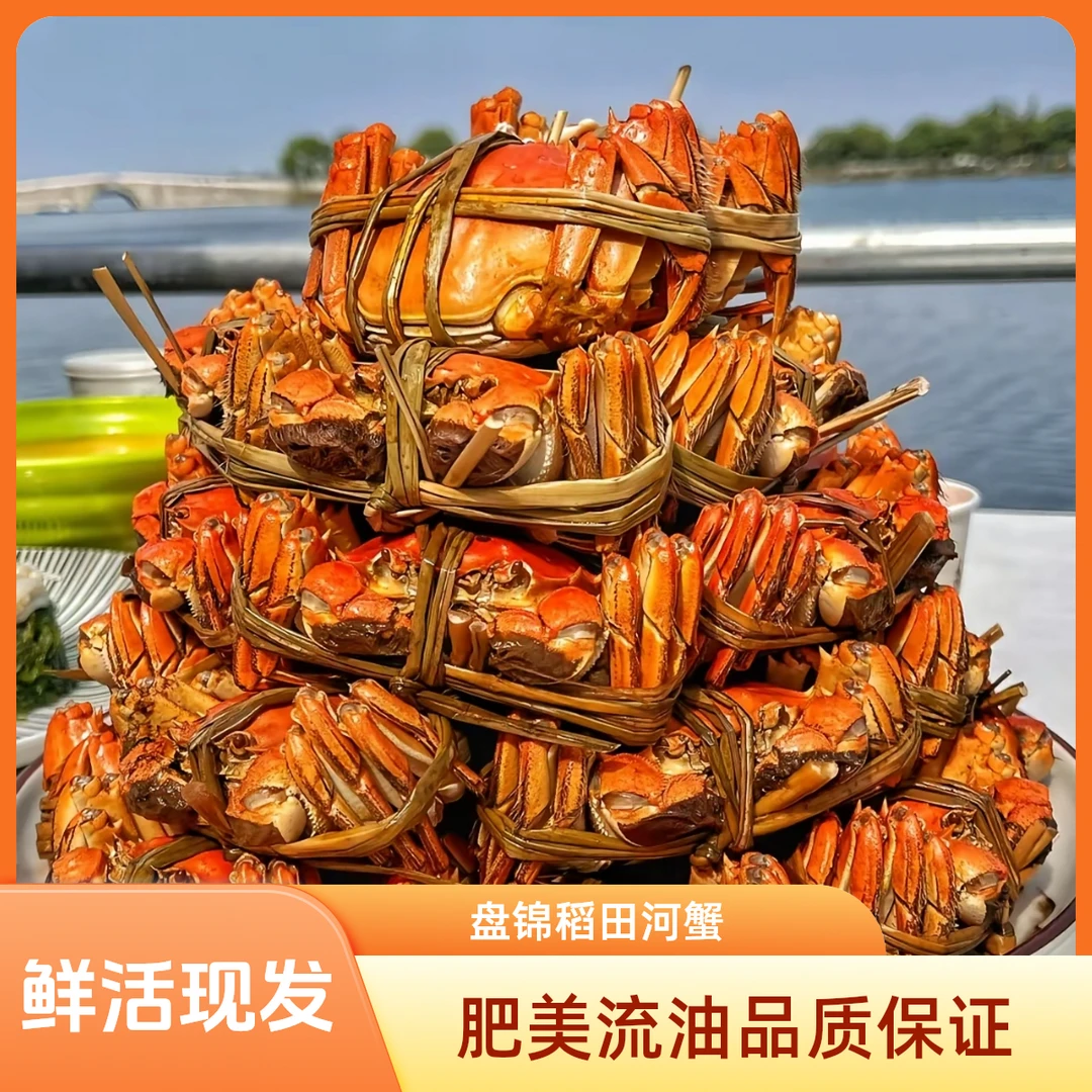 鲜活发货顺丰盘锦稻田河蟹0.8-1.1两/只母蟹发30只