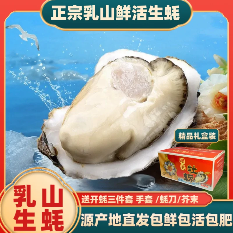 【蚝霸礼盒装】①正宗乳山生蚝礼盒装9.5斤鲜活免洗生蚝海蛎子牡蛎