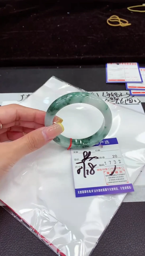 未镶嵌手镯翡翠111