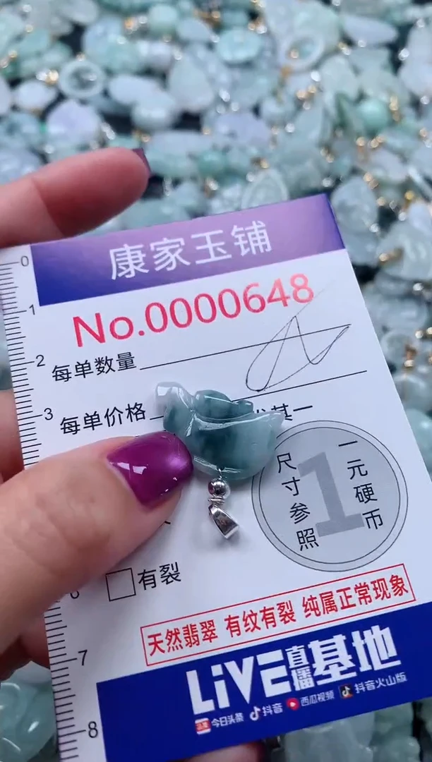 颈饰未镶嵌翡翠648