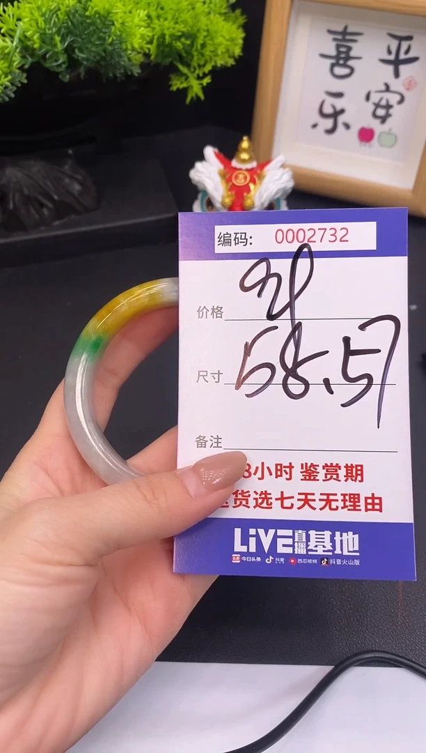 未镶嵌手镯翡翠0002732