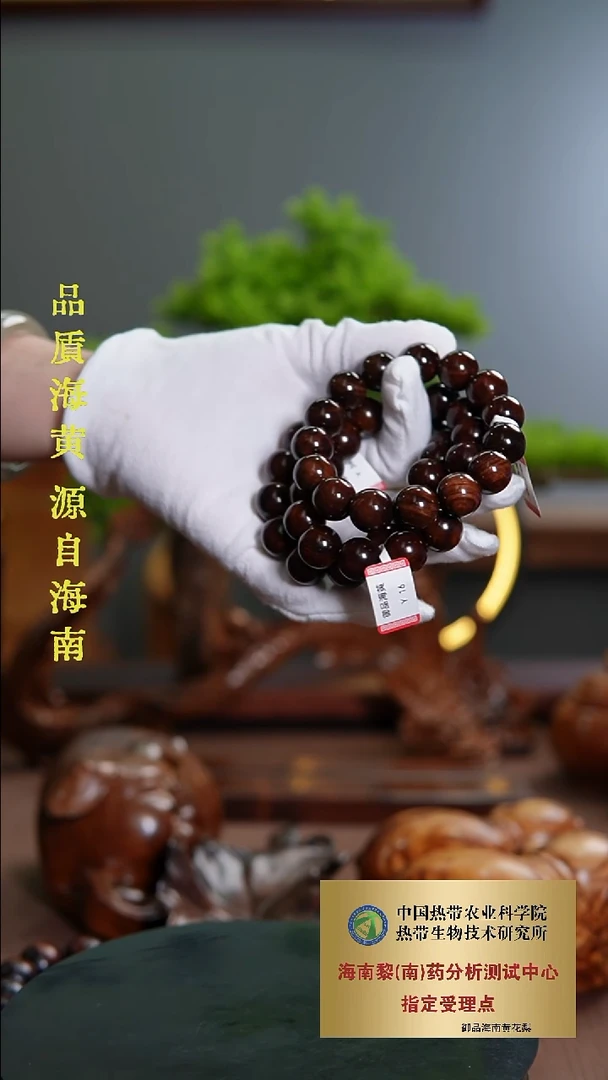 其他黄花梨/降香黄檀1.5CM海黄老料油梨1条多样性发一